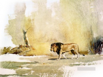 wild lion Oil Paintings